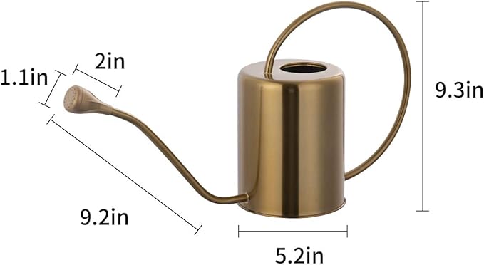 1/2 Gallon 68oz Long Spout Stainless Steel Gold Colored Watering Can for Indoor Plant Watering or Outdoor Gardening with 2 Removable Spray Spout for Flowers, Medium