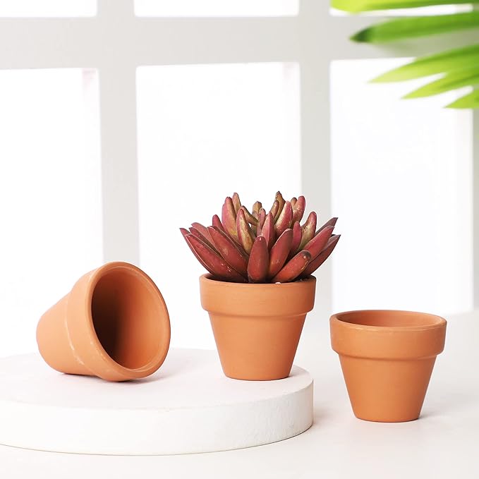Yishang 1.9 Inch Tiny Terracotta Pots Pack of 36-Small Mini Clay Pots with Drainage Holes Flower Nursery Terra Cotta Planter for Tiny Cactus Herb lithop,Succulent Plants,Crafts,Wedding Favor