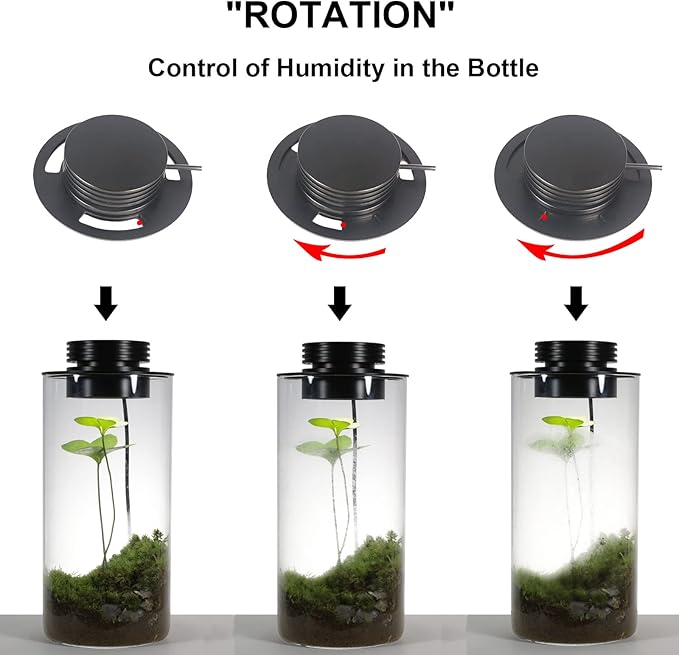 Glass Terrarium Plant Growing Lamp, for Vases Up to 5.9 Inches in Diameter, Light with Timer Auto On/Off, Betta Fish Tank, Indoor Plant Growth, Succulent, Miniature Gardening Landscape (10W 5.9IN)