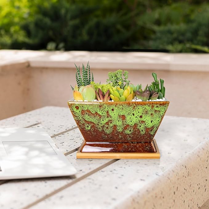ARTKETTY Succulent Pots - 7 Inch Large Plant Pot with Drainage Tray, Shallow Ceramic Pots for Indoor Plants, Modern Cactus Bonsai Plant Container Decorative Home Office