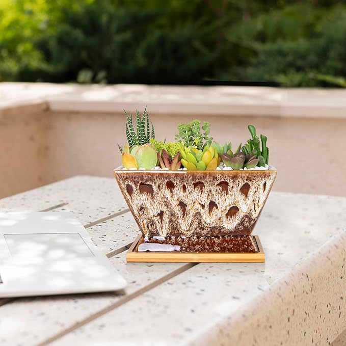 ARTKETTY Succulent Pots - 7 Inch Large Plant Pot with Drainage Tray, Shallow Ceramic Pots for Indoor Plants, Modern Cactus Bonsai Plant Container Decorative Home Office
