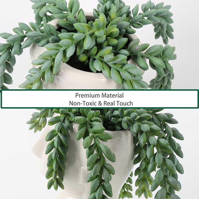 Fake Succulents Plants Artificial Succulents in Ceramic Pots Fake Potted Plants Faux Plants Indoor Fake Plants for Office, Desk, Shelf, Succulent Decor