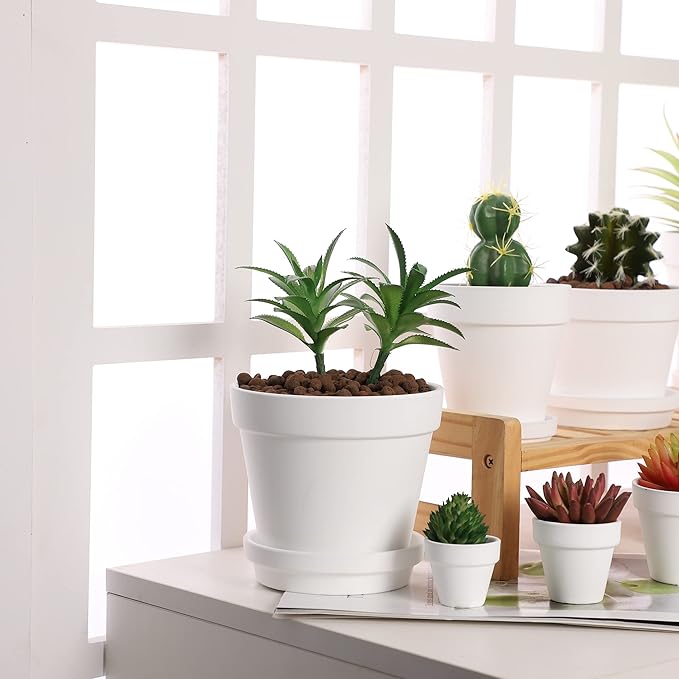 Terra Cotta Pots with Saucer- 6-Pack Large Terracotta Pot Clay Pots 5.5'' Clay Ceramic Pottery Planter Cactus Flower Pots Succulent Pot with Drainage Hole- for Plants,Crafts terra cotta planter(White)