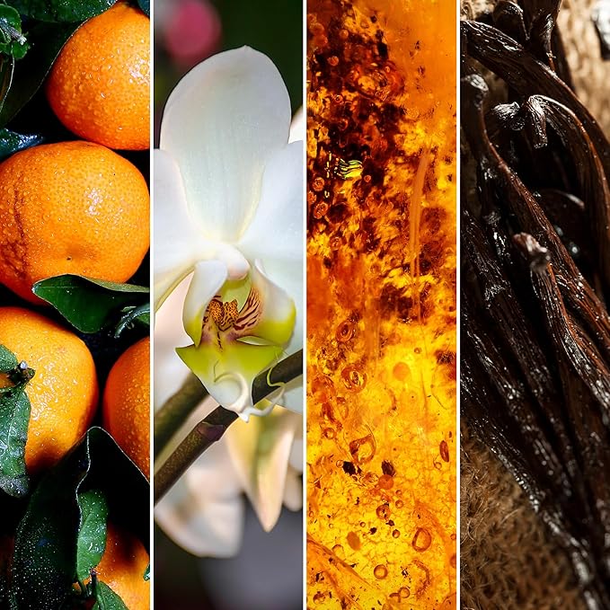 Journeyman Collection Candle, 15oz, Wooden Wick, Vanilla Amber, Large Painted Jar