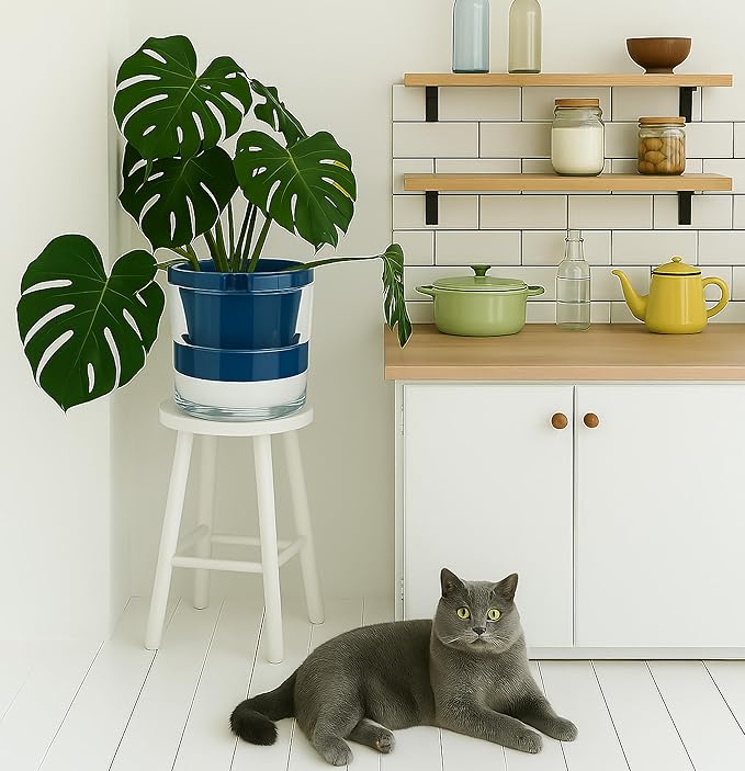 D'vine Dev 10 Inch Design Self Watering Planter for Indoor Plants, Blue Terracotta Pot with Cylinder Glass Cup, 37-X-D-4