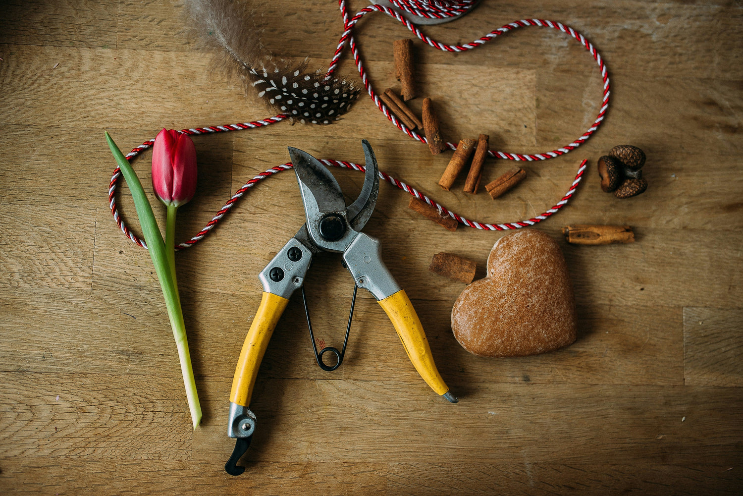 Garden Tools & Essentials