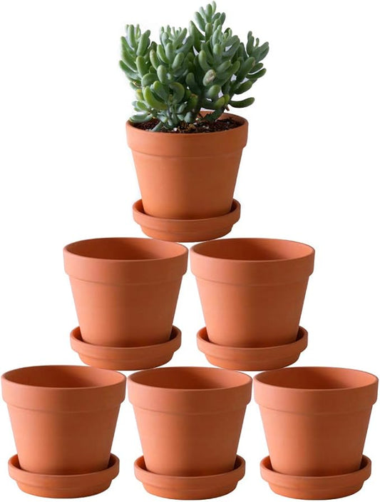 Terra Cotta Pots with Saucer- 6-Pack Large Clay Pots 5.5'' Ceramic Pottery Planter Cactus Flower Succulent Pot with Drainage Hole- Great for Plants,Crafts terra cotta planter