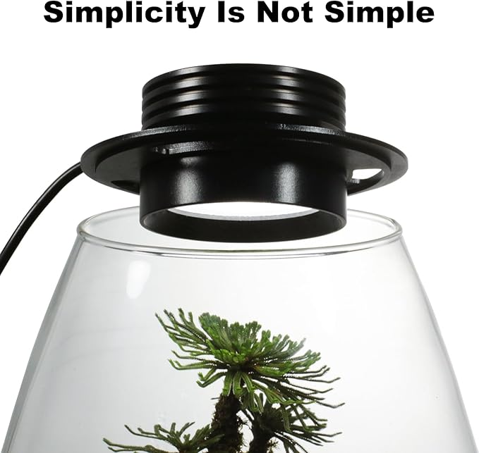 Glass Terrarium Plant Growing Lamp, for Vases Up to 4 Inches in Diameter, Light with Timer Auto On/Off, Indoor Plant Growth, Succulent, Miniature Gardening Landscape (5W 4IN)