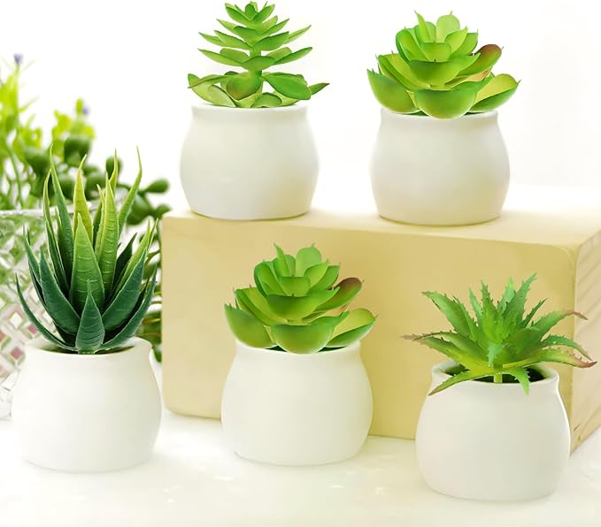 Fake Succulent Plants, 6pcs Mini Green Succulent Plants Faux, Artificial Succulents Plants for DIY Crafting Home Floral Wall Office Decoration (excluding pots)