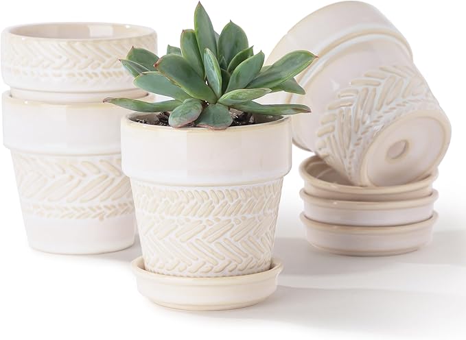 Succulent pots,Indoor Small Succulent Bonsai,3 Inch Mini Ceramic Succulent Pots with Saucer and Drainage Hole, Decorative Planter for Succulent, Cactus, Set of 4.