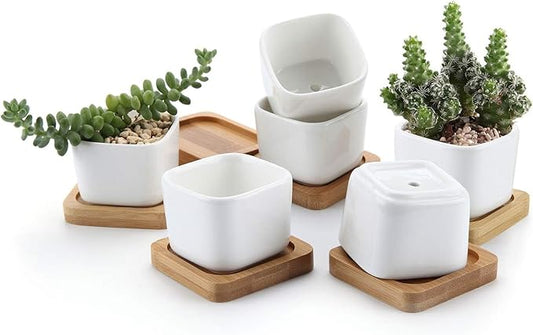 T4U 2 Inch Small White Succulent Planter Pots with Bamboo Tray Square Set of 6, Ceramic Flower Pots Cactus Air PlantContainers,Succulent Plant Gifts for Women Coworker, Modern Home and Office Decor