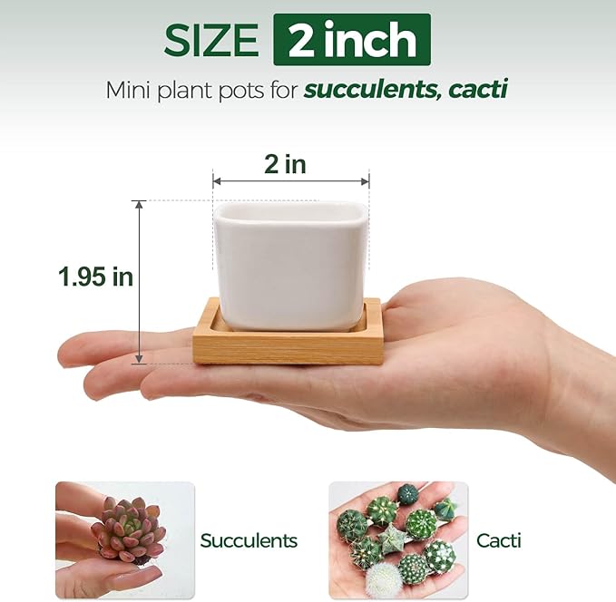 T4U 2 Inch Mini White Square Succulent Pots with Bamboo Trays, Mini Ceramic Planters for Tiny Cactus, Air Plants, Faux Plants – Gift for Plant Lovers, Desk & Home Decor (12 Pack)