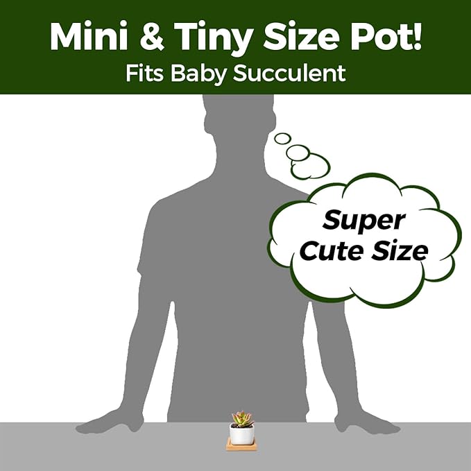 T4U 2 Inch Mini White Square Succulent Pots with Bamboo Trays, Mini Ceramic Planters for Tiny Cactus, Air Plants, Faux Plants – Gift for Plant Lovers, Desk & Home Decor (12 Pack)