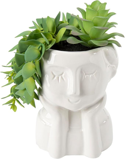 Fake Succulents Plants Artificial Succulents in Ceramic Pots Fake Potted Plants Faux Plants Indoor Fake Plants for Office, Desk, Shelf, Succulent Decor