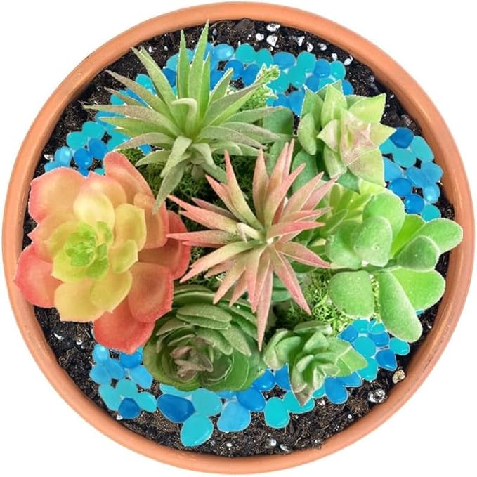 Artificial Succulent Plants, Small Plastic Succulents, Faux Succulents, Suculentas for DIY Garden Decor Succulent Dollhouse Craft Model Miniature Dioramas Miniature Garden Buildings