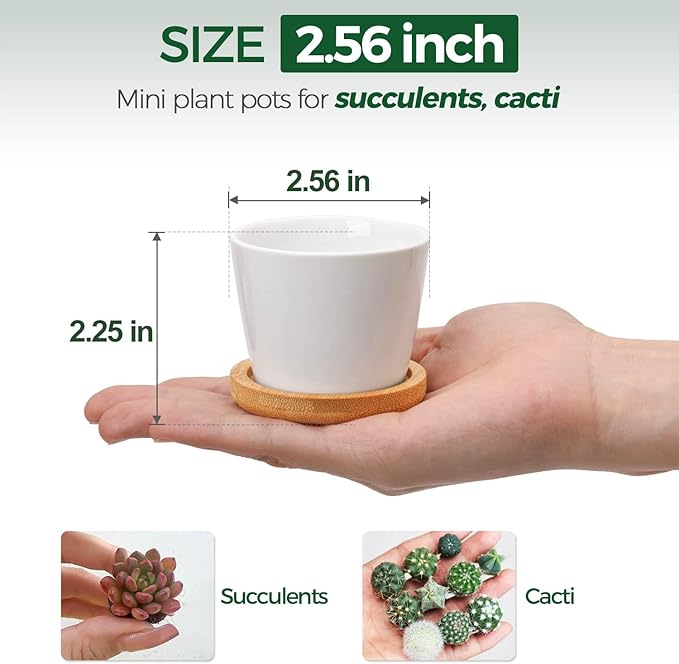 T4U 2.5 Inch Mini White Succulent Planter Pots with Bamboo Tray Round Set of 6, Tiny Ceramic Succulent Air Plant Flower Pots Cactus Faux Plants Containers, Gifts for Plant Lover, Home and Office Decor