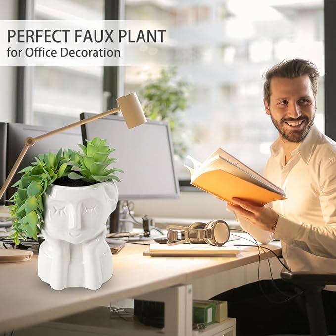 Fake Succulents Plants Artificial Succulents in Ceramic Pots Fake Potted Plants Faux Plants Indoor Fake Plants for Office, Desk, Shelf, Succulent Decor