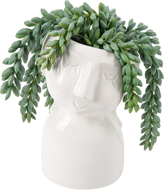 Fake Succulents Plants Artificial Succulents in Ceramic Pots Fake Potted Plants Faux Plants Indoor Fake Plants for Office, Desk, Shelf, Succulent Decor
