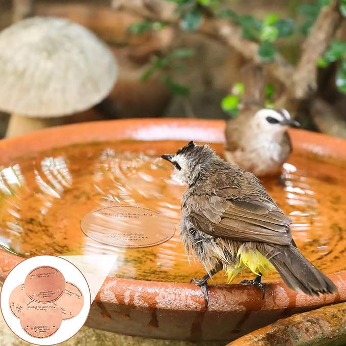 1 Pcs Bird Bath Copper Disk, 0.6mm Thick Reinforced 99.99% Pure Copper Birdbath Purification Disk, with 4 Point Support for Outdoor Birdbaths Bowls Cleaner, 4 Inch (Classic)