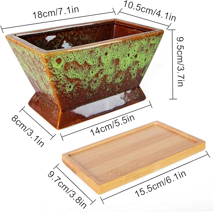 ARTKETTY Succulent Pots - 7 Inch Large Plant Pot with Drainage Tray, Shallow Ceramic Pots for Indoor Plants, Modern Cactus Bonsai Plant Container Decorative Home Office