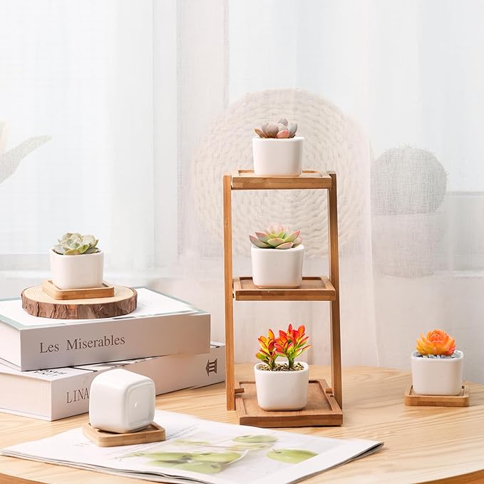 T4U 2 Inch Small White Succulent Planter Pots with Bamboo Tray Square Set of 2, Ceramic Flower Pots Cactus Air PlantContainers,Gardening Plant Gifts for Women, Modern Home and Office Decor
