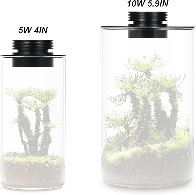 Glass Terrarium Plant Growing Lamp, for Vases Up to 5.9 Inches in Diameter, Light with Timer Auto On/Off, Betta Fish Tank, Indoor Plant Growth, Succulent, Miniature Gardening Landscape (10W 5.9IN)
