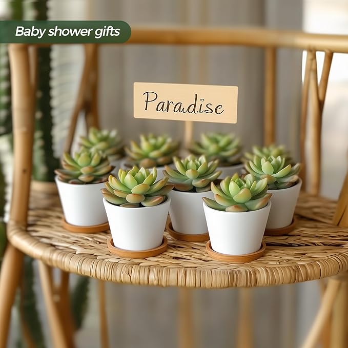 T4U 2.5 Inch Mini White Succulent Planter Pots with Bamboo Tray Round Set of 12, Tiny Ceramic Succulent Air Plant Flower Pots Cactus Faux Plants Containers, Gifts for Plant Lover, Home Office Decor