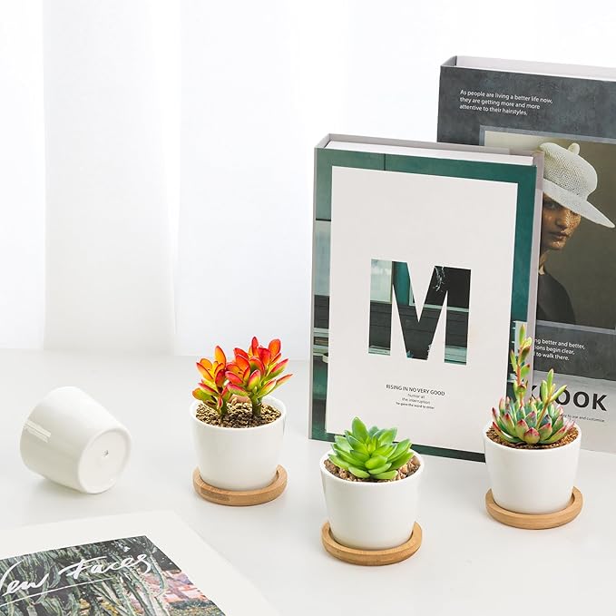 T4U 2.5 Inch Mini White Succulent Planter Pots with Bamboo Tray Round Set of 6, Tiny Ceramic Succulent Air Plant Flower Pots Cactus Faux Plants Containers, Gifts for Plant Lover, Home and Office Decor