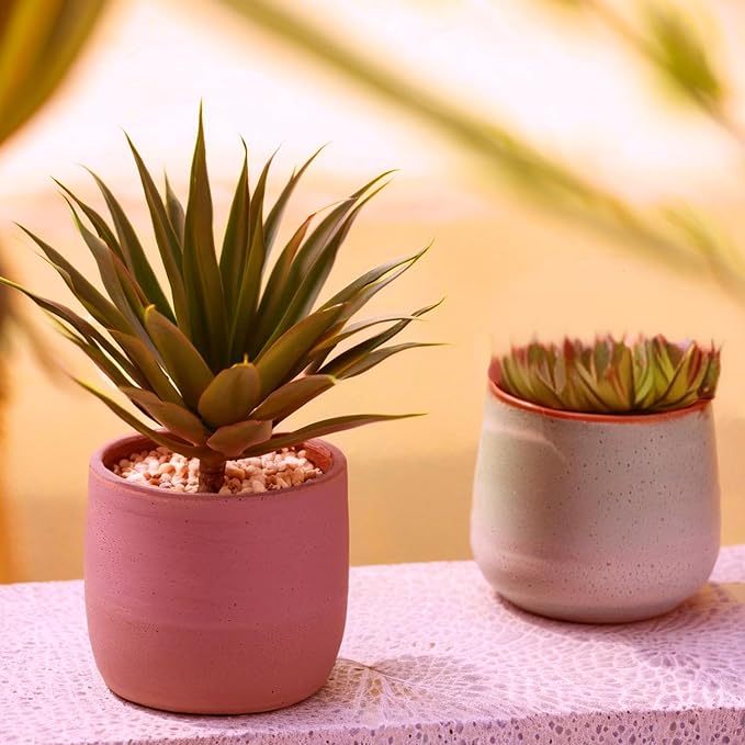 Artificial Succulents Plants- Faux Succulents Unpotted Yucca Real Touch Lifelike Agave Plant Fake Succulent Greenhouse Small Plants for DIY Garden Home Plastic Tequila,Soil Free Plant