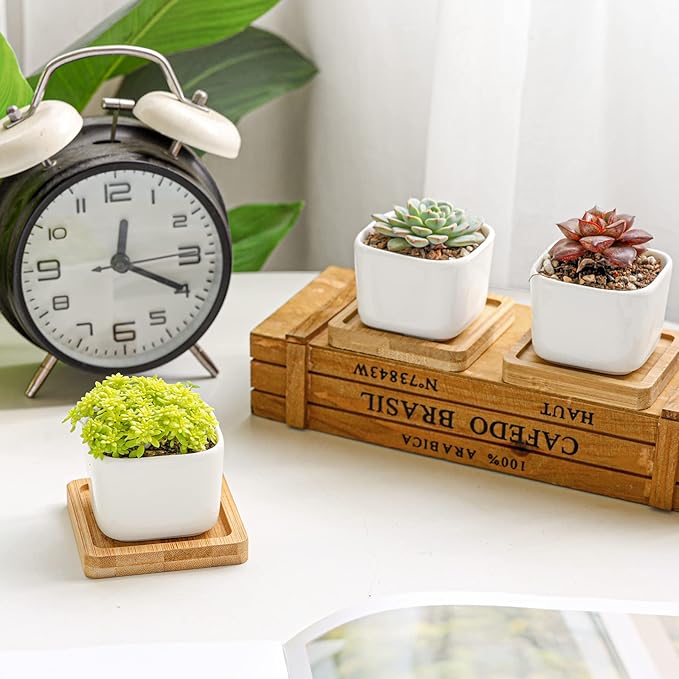 T4U 2 Inch Small White Succulent Planter Pots with Bamboo Tray Square Set of 2, Ceramic Flower Pots Cactus Air PlantContainers,Gardening Plant Gifts for Women, Modern Home and Office Decor