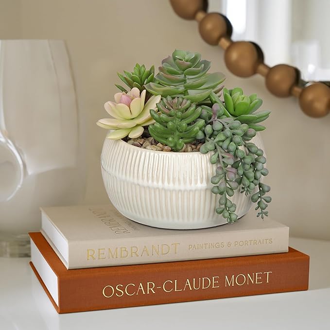 DILATATA Artificial Succulent Plants in Pot 5.5 Inch Fake Succulents Arrangement Potted Plant in White Ceramic Planter Bowl for Home Office Desk Shelf Living Room Bedroom Bathroom Decor