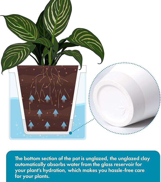 D'vine Dev 10 Inch Design Self Watering Planter for Indoor Plants, White Terracotta Pots with Cylinder Glass Cup, 37-X-D-2