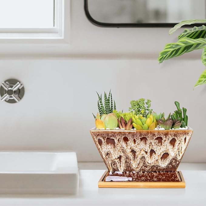 ARTKETTY Succulent Pots - 7 Inch Large Plant Pot with Drainage Tray, Shallow Ceramic Pots for Indoor Plants, Modern Cactus Bonsai Plant Container Decorative Home Office