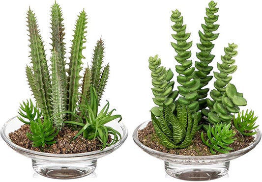 Set of 2 Succulents Plants Artificial Cactus in Glass Pot with Realistic Featuring Sand Moss, Small Fake Succulents Plants Faux Plants Indoor for Home Office Desk Bathroom Shelf Living Room Decor