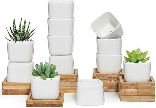 T4U 2 Inch Mini White Square Succulent Pots with Bamboo Trays, Mini Ceramic Planters for Tiny Cactus, Air Plants, Faux Plants – Gift for Plant Lovers, Desk & Home Decor (12 Pack)