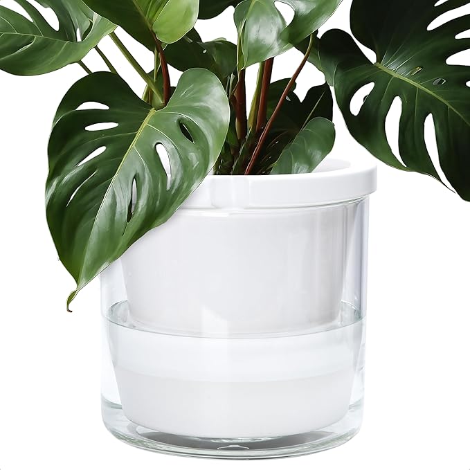 D'vine Dev 10 Inch Design Self Watering Planter for Indoor Plants, White Terracotta Pots with Cylinder Glass Cup, 37-X-D-2