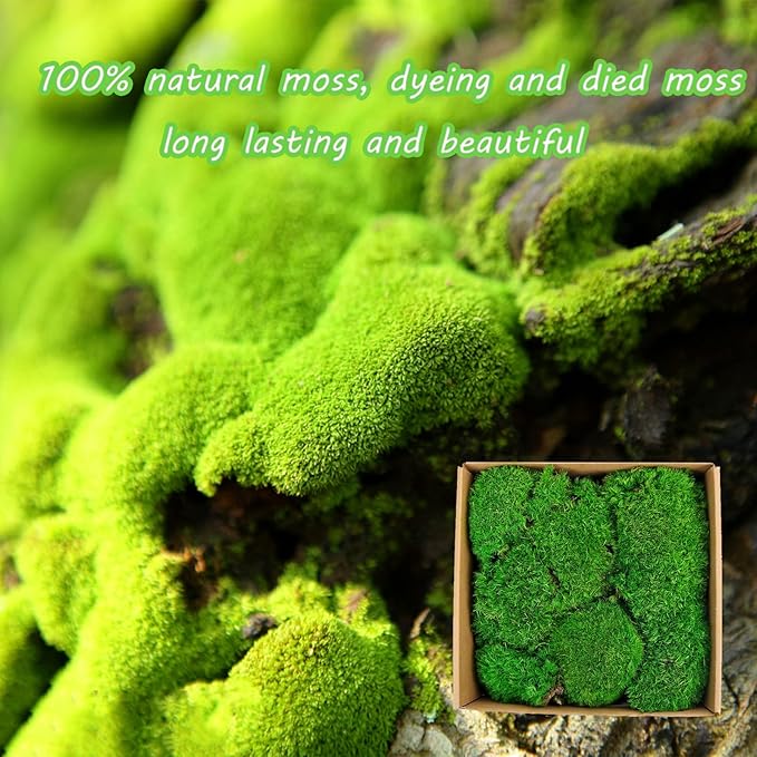 1.5 Sq. Ft. Preserved Moss Pole Decorative Moss for Crafts, Art, Wall Decor,Dark Green