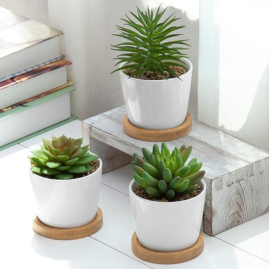 MyGift Assorted Artificial Succulent Plants - Decorative Fake Desert Plants with Pebble Fillers in White Ceramic Pots with Bamboo Saucers, Set of 3