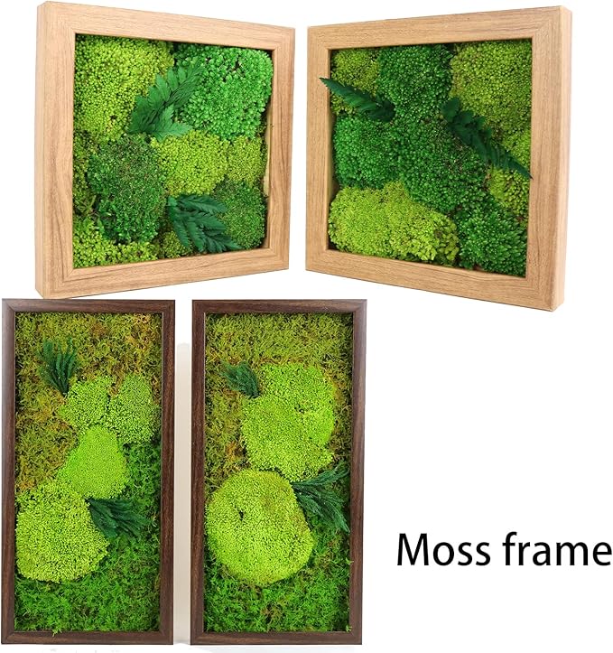 1.5 Sq. Ft. Preserved Moss Pole Decorative Moss for Crafts, Art, Wall Decor,Yellow Green Moss