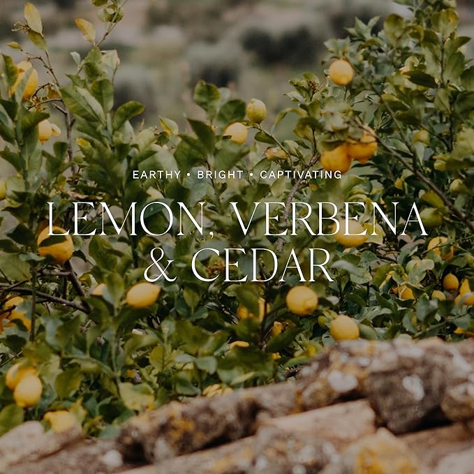 Antica Farmacista Scented Candle, Lemon Verbena & Cedar, 9 Oz