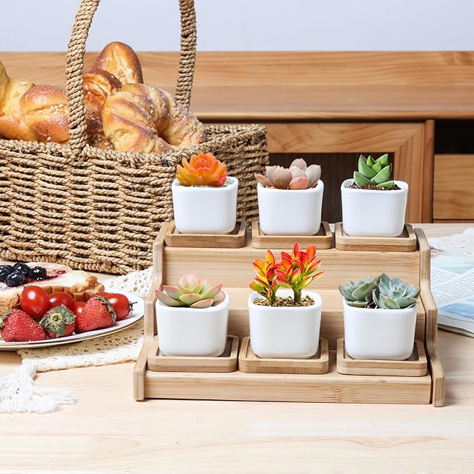 T4U 2 Inch Mini White Square Succulent Pots with Bamboo Trays, Mini Ceramic Planters for Tiny Cactus, Air Plants, Faux Plants – Gift for Plant Lovers, Desk & Home Decor (12 Pack)