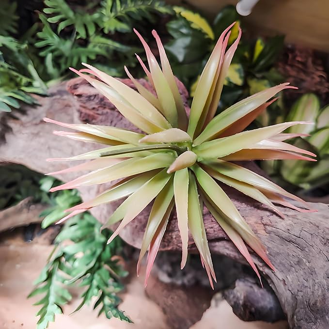 Artificial Succulents Plants- Faux Succulents Unpotted Yucca Real Touch Lifelike Agave Plant Fake Succulent Greenhouse Small Plants for DIY Garden Home Plastic Tequila,Soil Free Plant