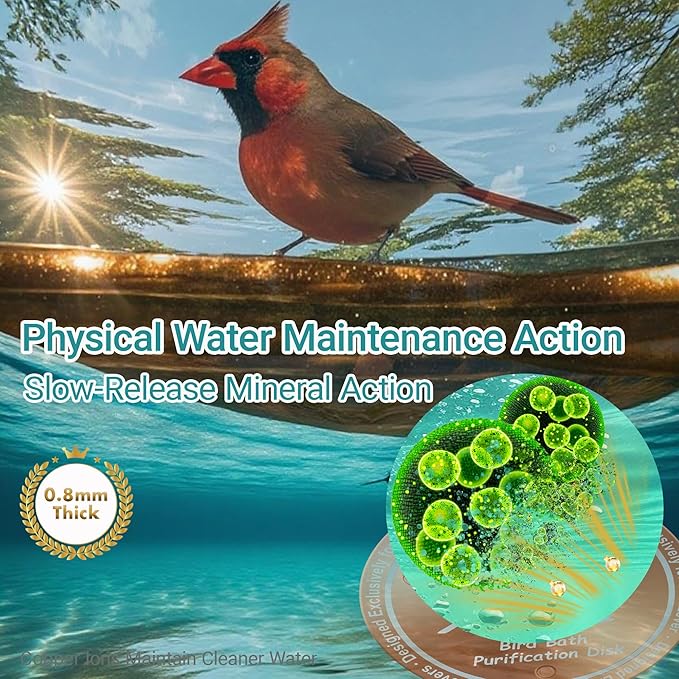 0.8mm Reinforced 99.99% Pure Copper Bird Bath Disk - Triple-Point Support Design for Physical Safe Water Maintenance, Universal Fit All-Season Outdoor Birdbaths Bowls, 1Pcs