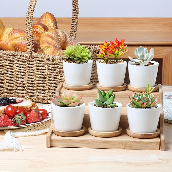 T4U 2.5 Inch Mini White Succulent Planter Pots with Bamboo Tray Round Set of 12, Tiny Ceramic Succulent Air Plant Flower Pots Cactus Faux Plants Containers, Gifts for Plant Lover, Home Office Decor