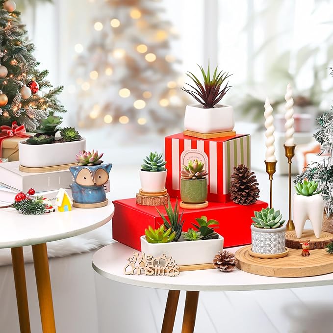 T4U 2.5 Inch Mini White Succulent Planter Pots with Bamboo Tray Round Set of 12, Tiny Ceramic Succulent Air Plant Flower Pots Cactus Faux Plants Containers, Gifts for Plant Lover, Home Office Decor