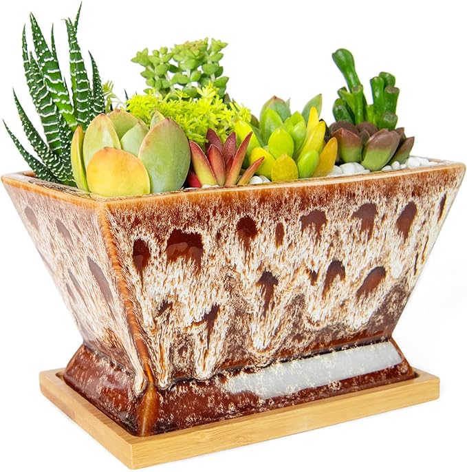 ARTKETTY Succulent Pots - 7 Inch Large Plant Pot with Drainage Tray, Shallow Ceramic Pots for Indoor Plants, Modern Cactus Bonsai Plant Container Decorative Home Office