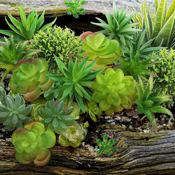 22pcs Artificial Succulents Realistic Mini Succulent Plants, Green Succulents Small Plants for DIY Crafting Garden Home Arrangement Office Decorations (Unpotted)