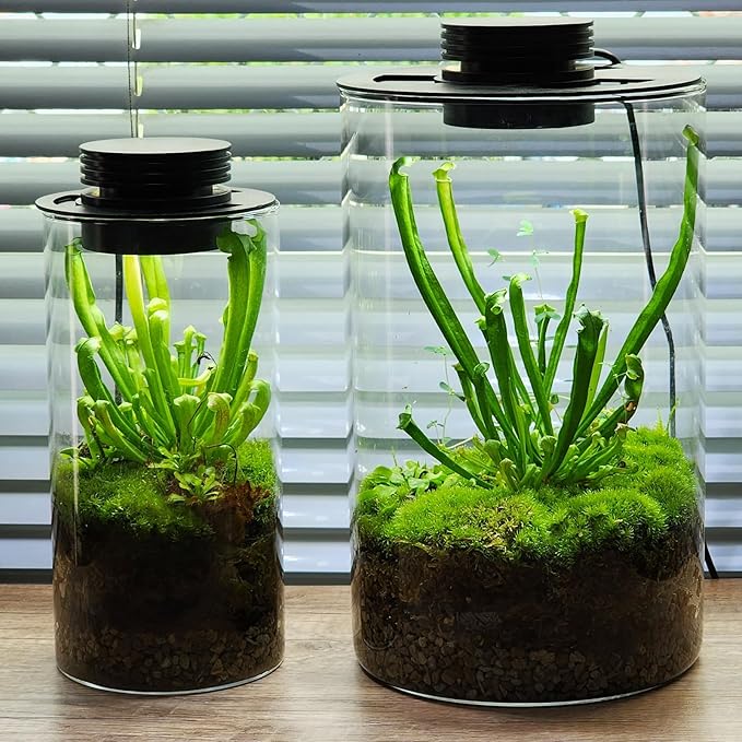 Glass Terrarium Plant Growing Lamp, for Vases Up to 5.9 Inches in Diameter, Light with Timer Auto On/Off, Betta Fish Tank, Indoor Plant Growth, Succulent, Miniature Gardening Landscape (10W 5.9IN)