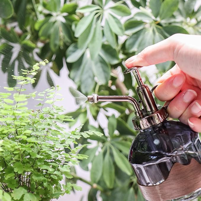 OFFIDIX Glass Plant Mister, 6.3 Inches Tall Vintage Style Spritzer Bronze Plastic Top Pump One Hand Watering Can Indoor Plant Spray Bottle for Garden, Plants, Cleaning (Distant Hill)