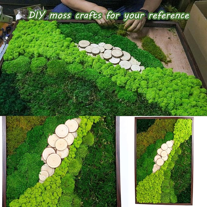 1.5 Sq. Ft. Preserved Moss Pole Decorative Moss for Crafts, Art, Wall Decor,Yellow Green Moss